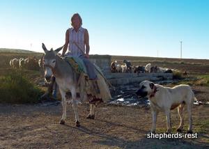 Image of Shepherds Rest Anatolians