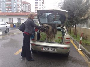 Duman's travels in Turkey