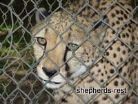 Bringing South Africa, Turkey, and Oregon together, July 2007