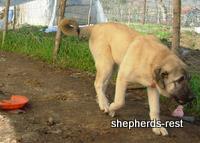 Istanbul, January 2009