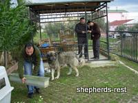 Istanbul, January 2009