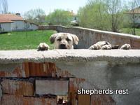 Central Anatolia, Turkey, April 2008