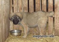 Central Anatolia, Turkey, April 2008