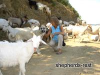 Import Trip for Sibel Can