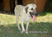 Import Trip for Sibel Can