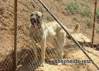 Import Trip for Sibel Can