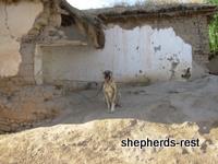 Import Trip for Sibel Can